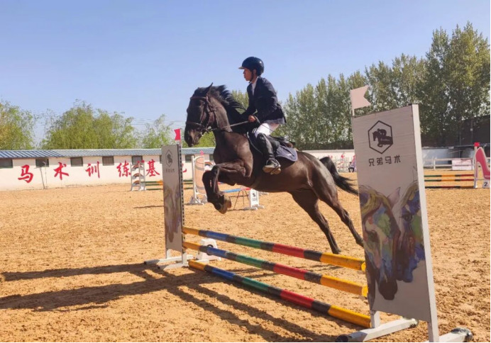 2026�걣�����������ֲ������ߺӱ�ʡ��ʮ�߽��˶���ѡ��������