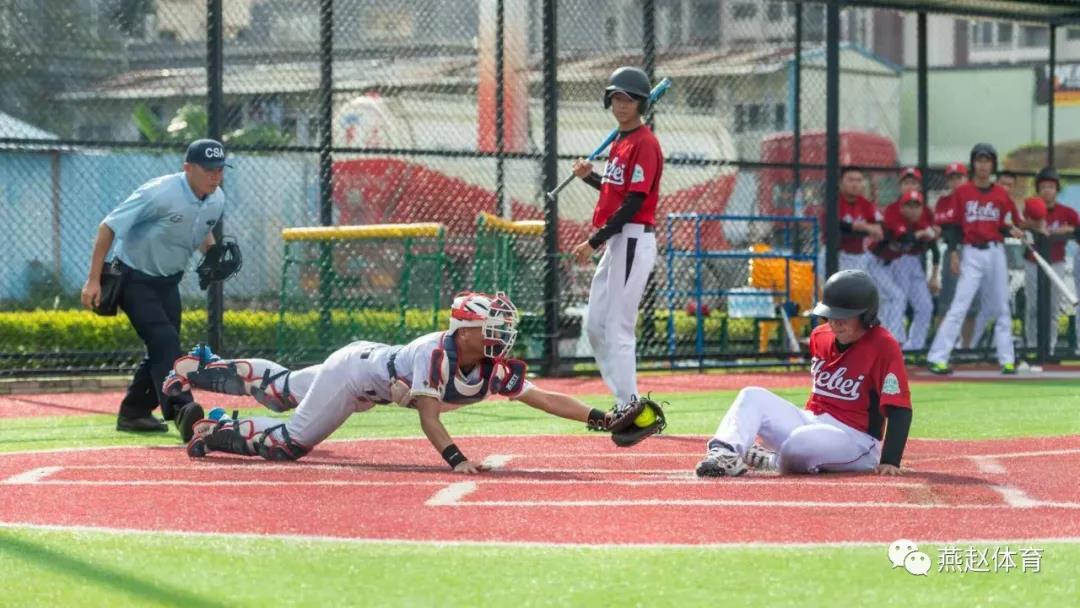 河北省乐传棒垒球俱乐部：体教融合助力河北省棒垒球运动发展