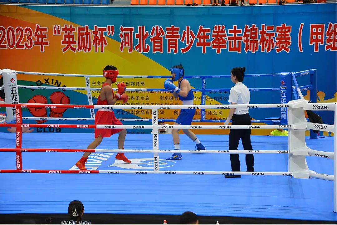 2023年河北省青少年拳击锦标赛圆满落...