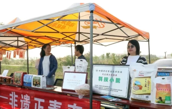 鱼 ȼ ؾٰڶȫܱ