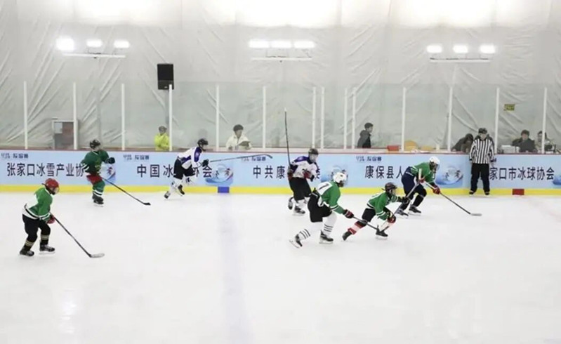 2026���ж������������ںӱ���������