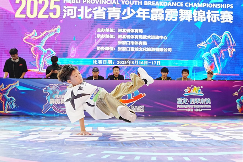 2025ӱʡżҿڸļСĻ